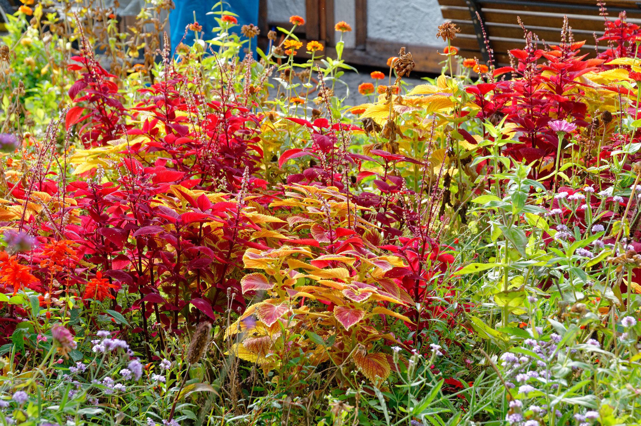 2021 10 09 12h35m33 JHU 6686a