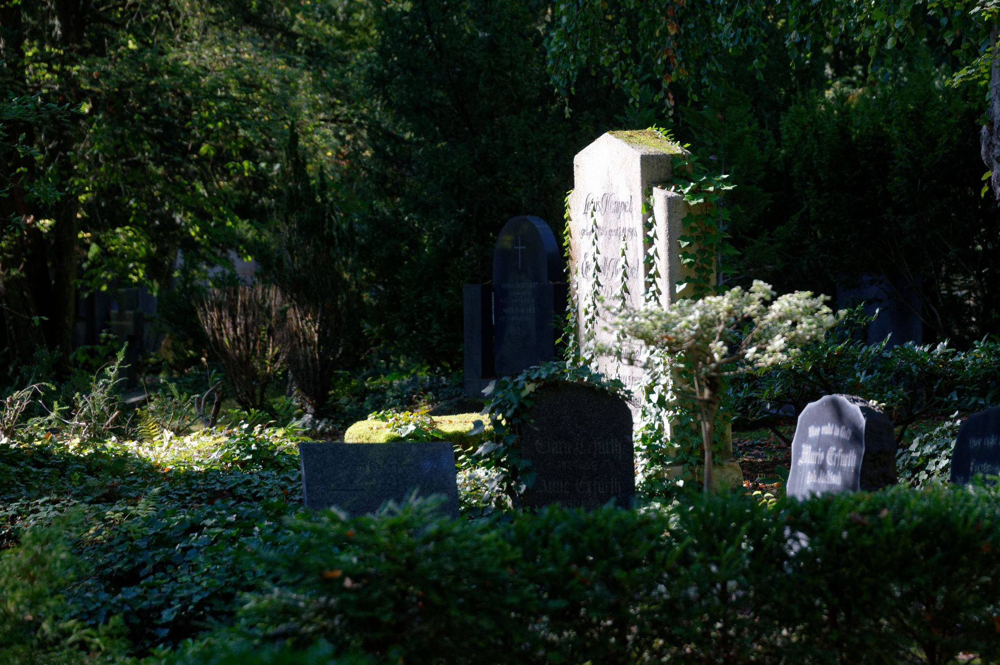 2021 10 10 11h40m12 JHU 6913a