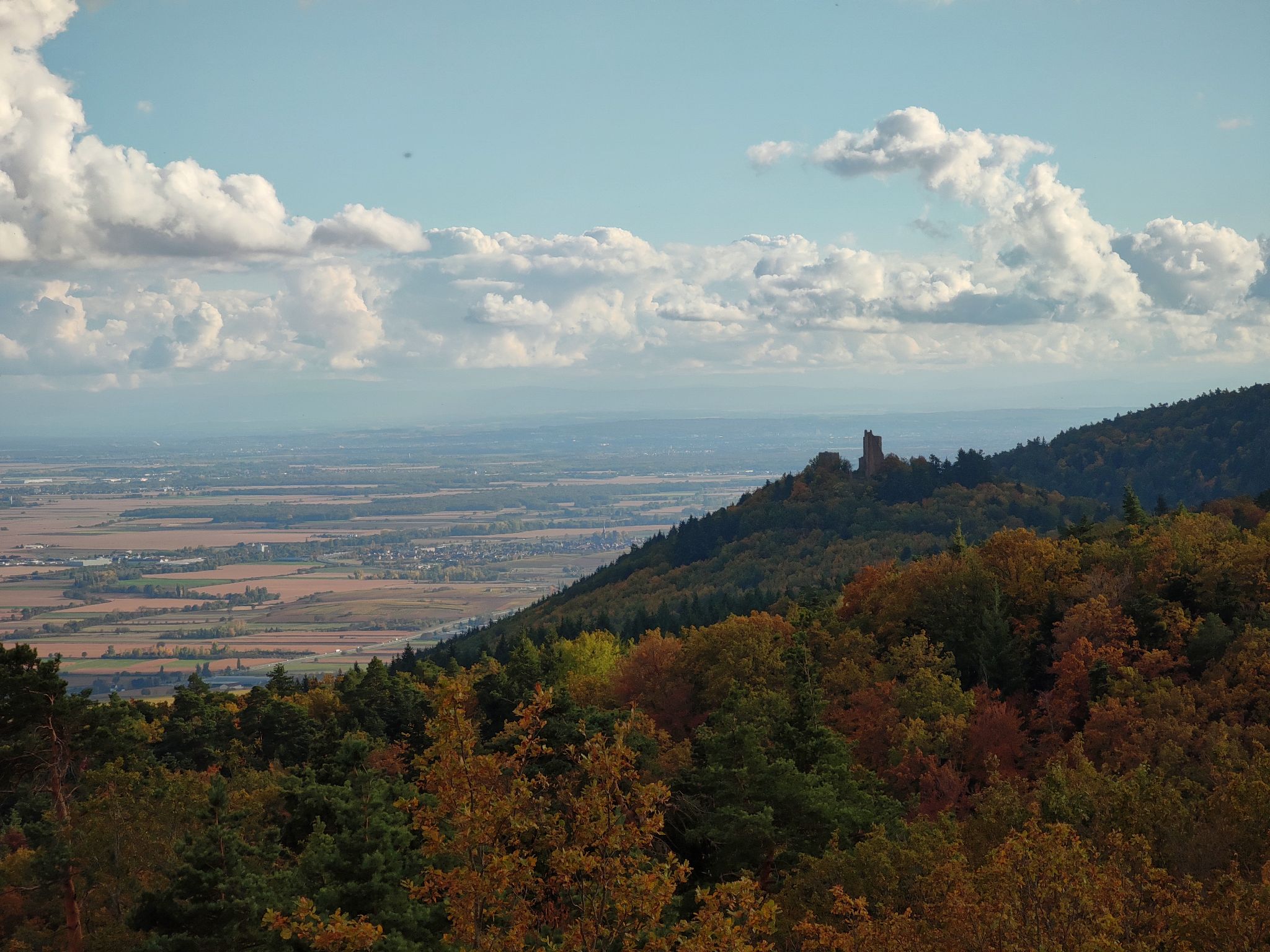 2021 10 26 16h22m43 IMG 20211026 162243a