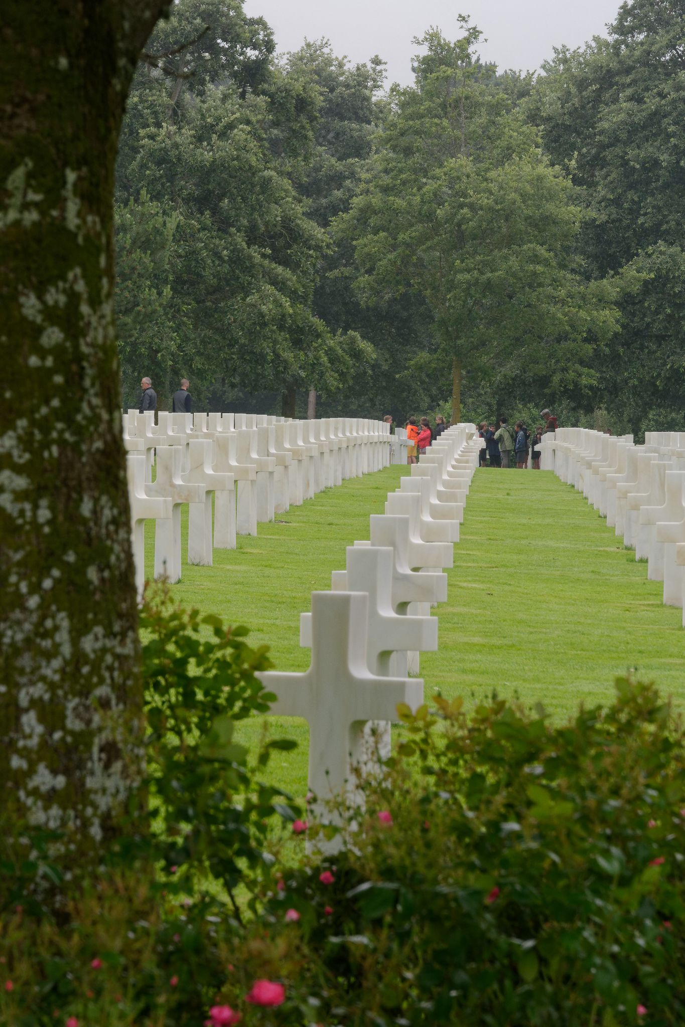 2019 06 26 14h51m13JHU 6758a