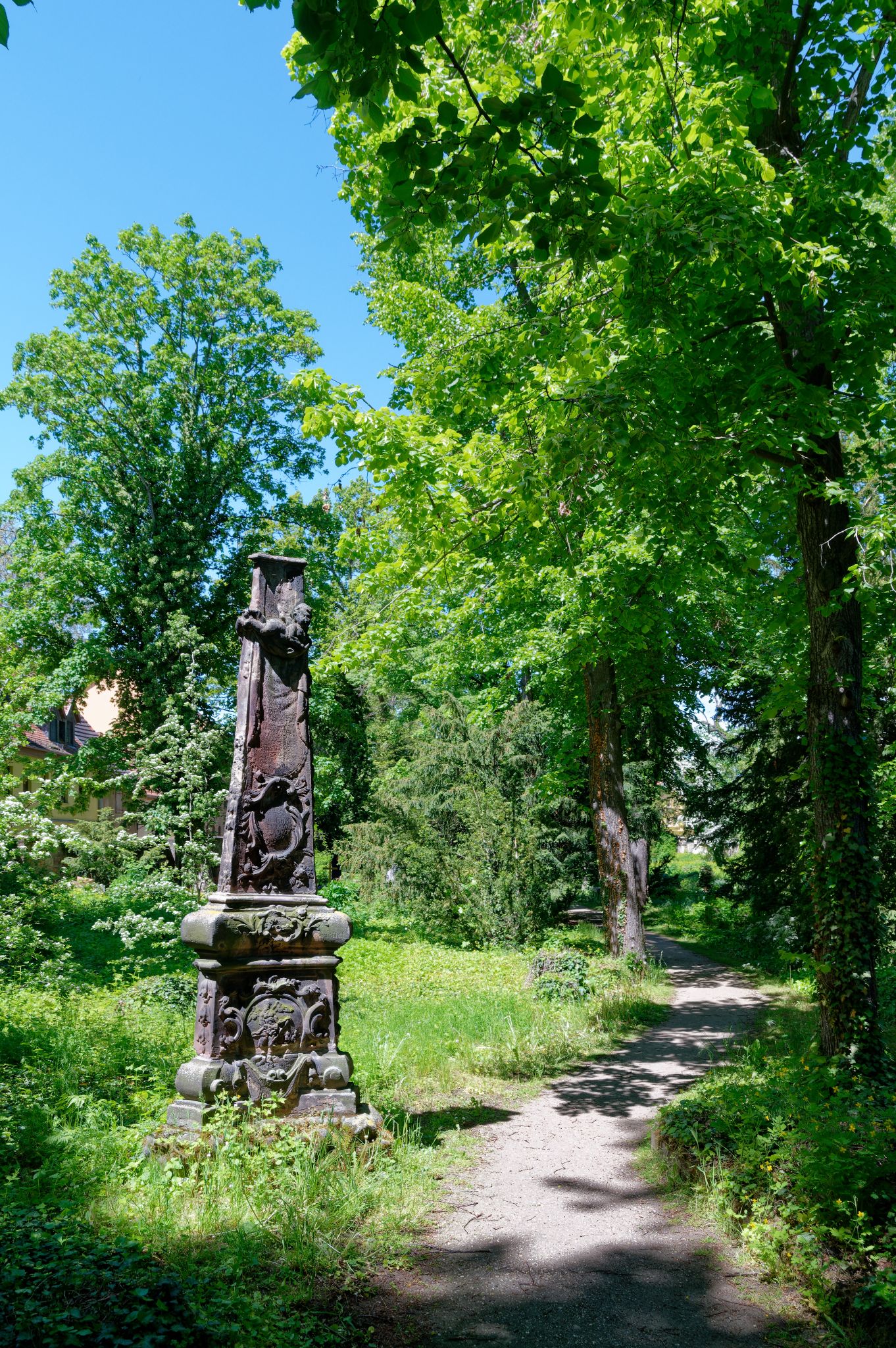 2021 05 24 12h36m32 JHU 5883a