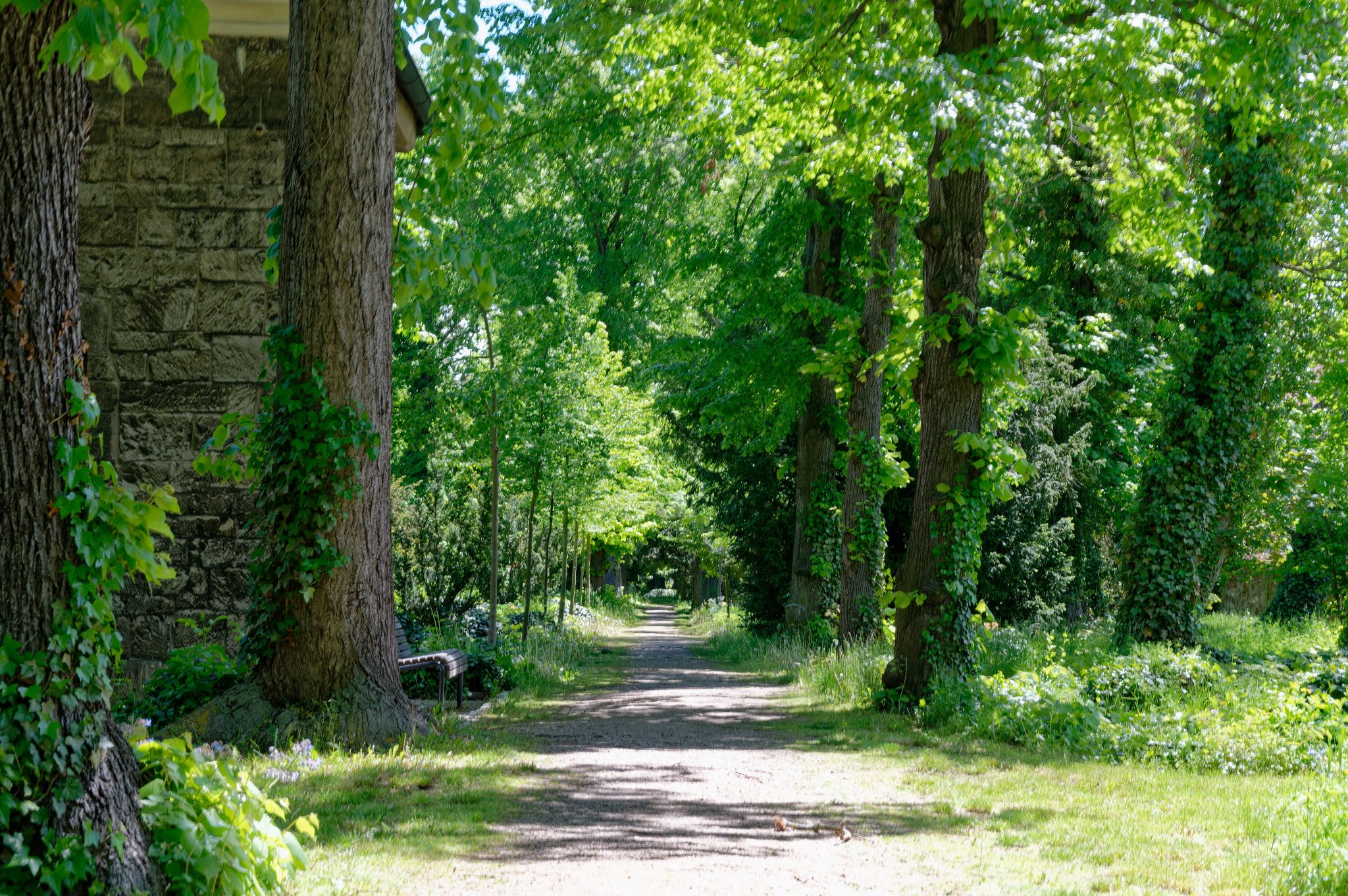 2021 05 24 12h49m09 JHU 5904a