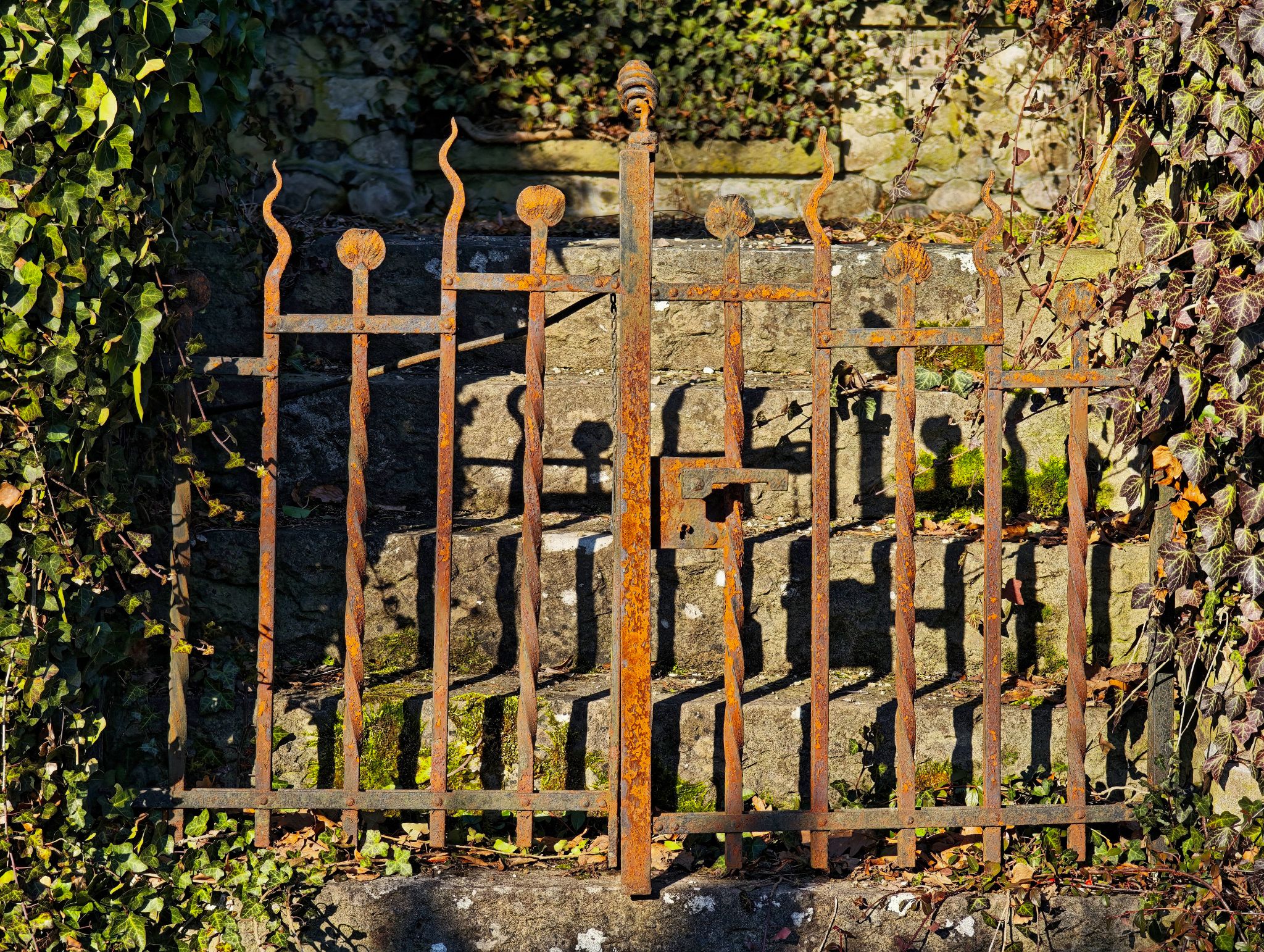 IMG 20260215 143851a