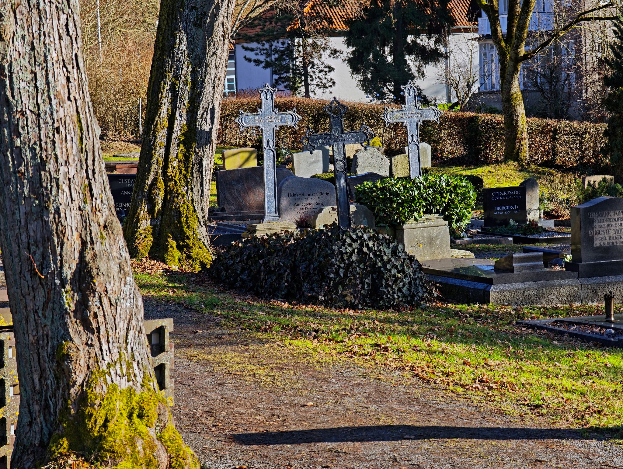 IMG 20260215 144254a