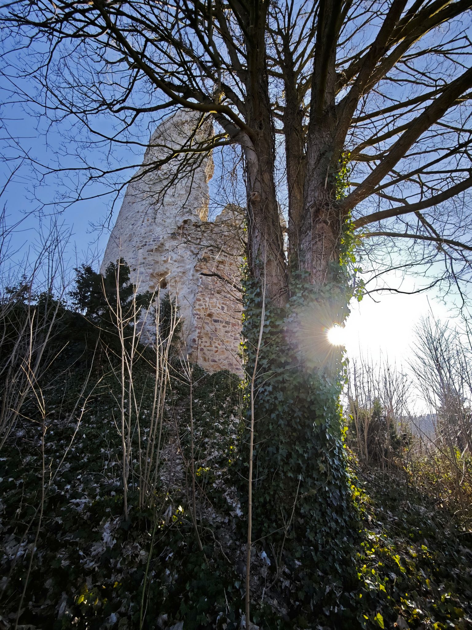 IMG 20260215 150034a