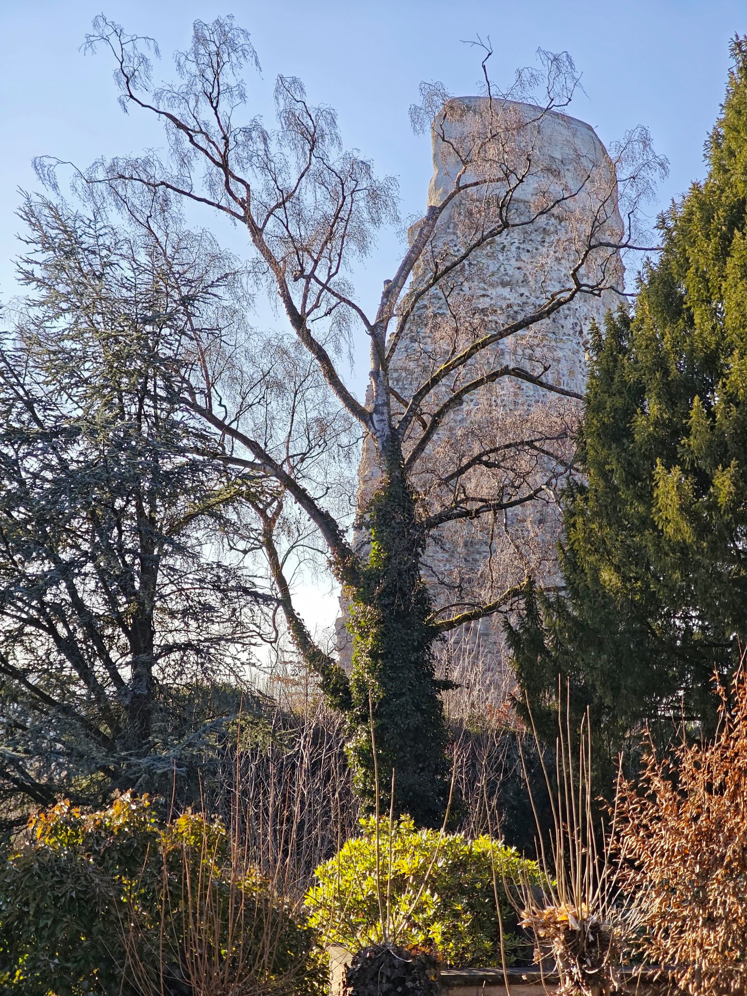 IMG 20260215 150907a