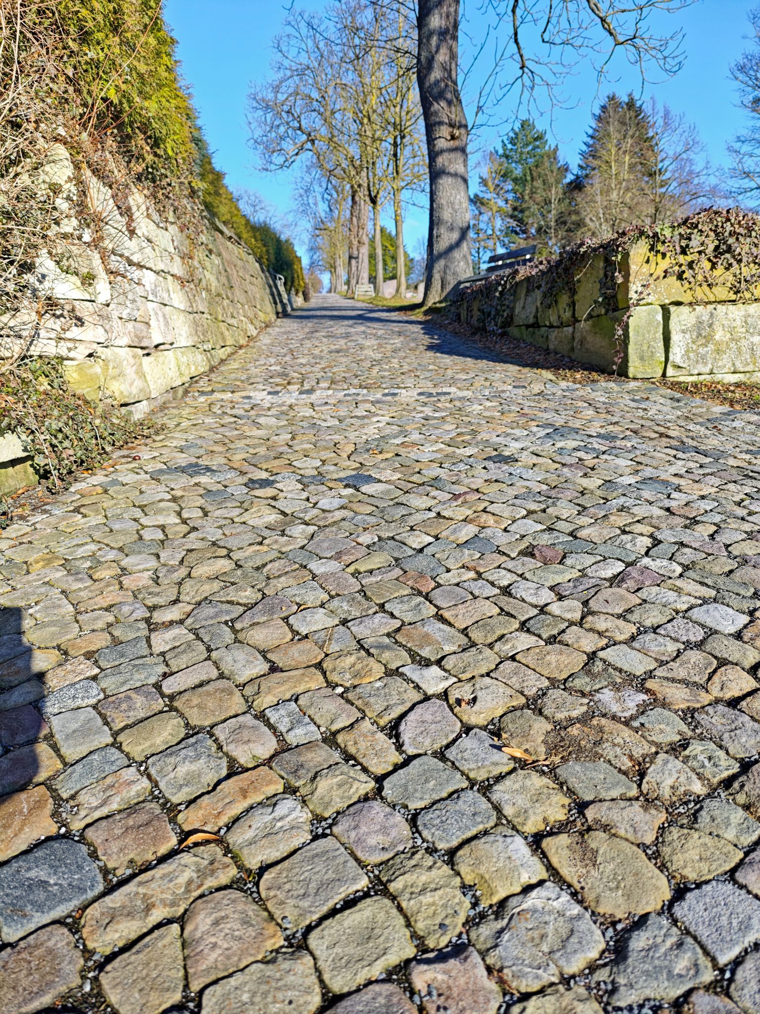 IMG 20260215 150939a