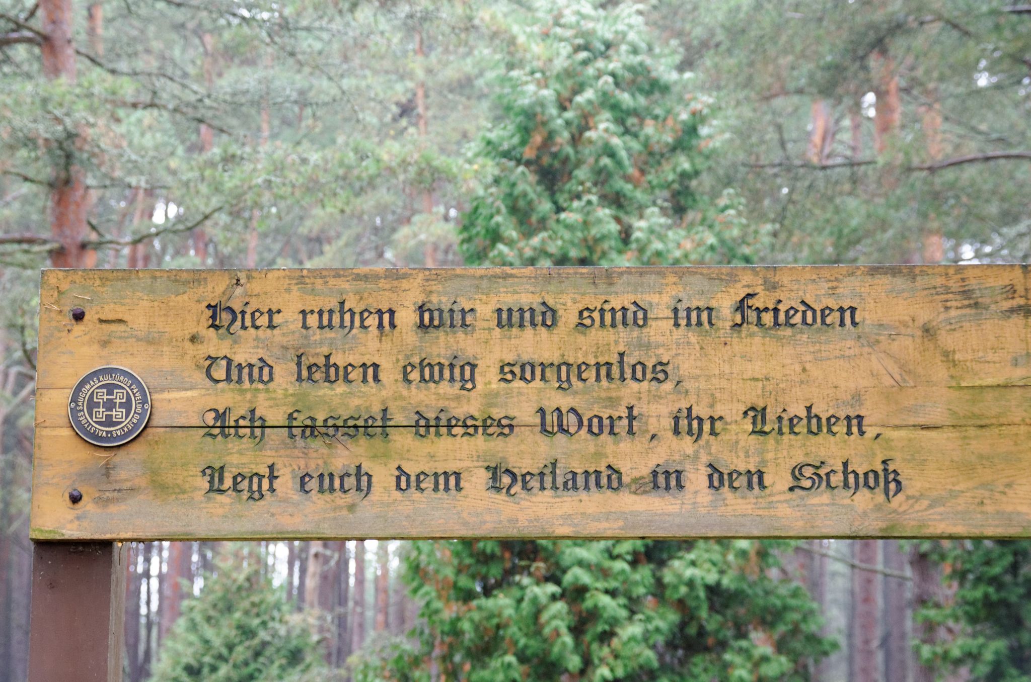 2013 10 06 11h05m14JHU 8905a