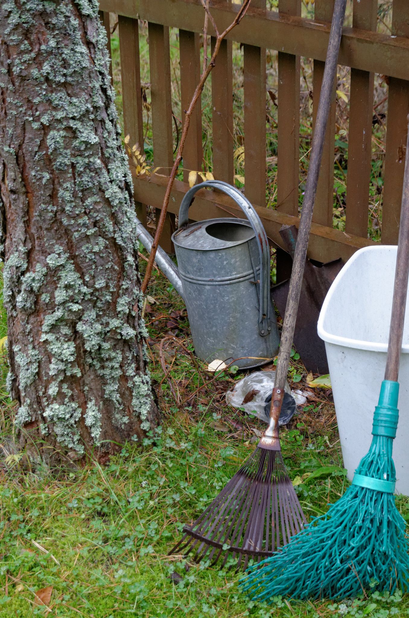 2013 10 06 11h12m11JHU 8911a