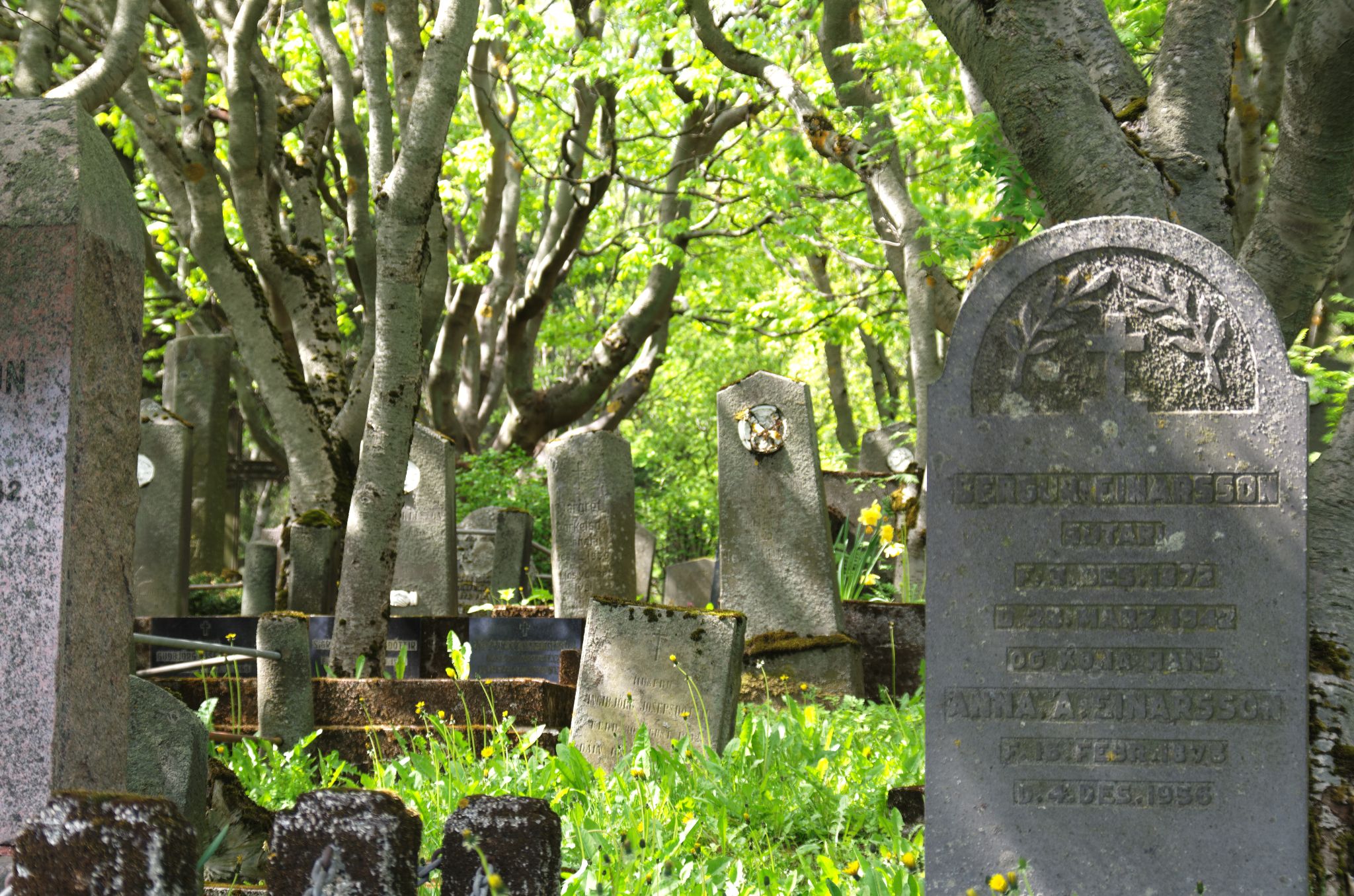 2011 06 09 14h17m59DSC 2479a