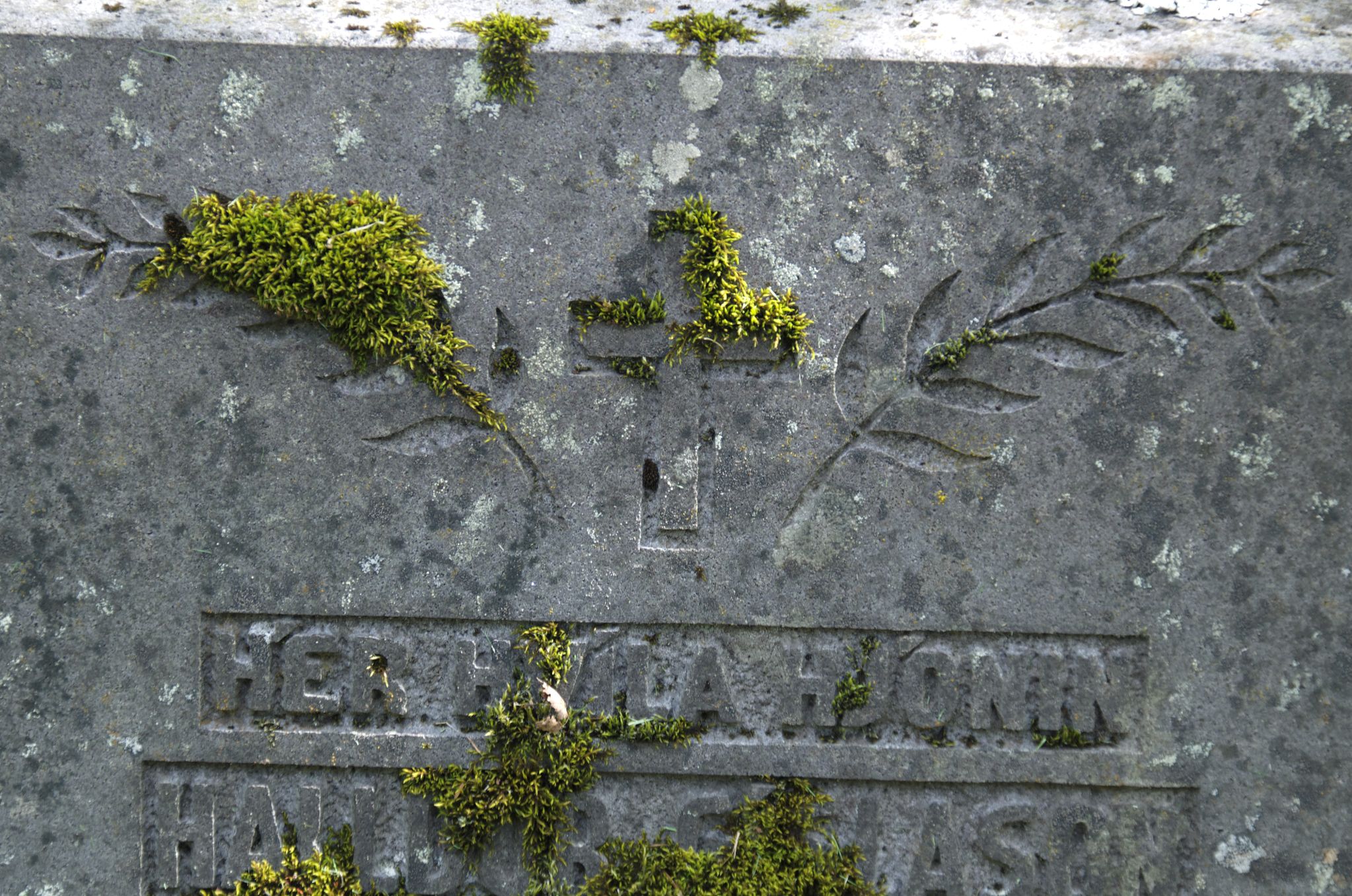 2011 06 09 14h24m47DSC 2487a