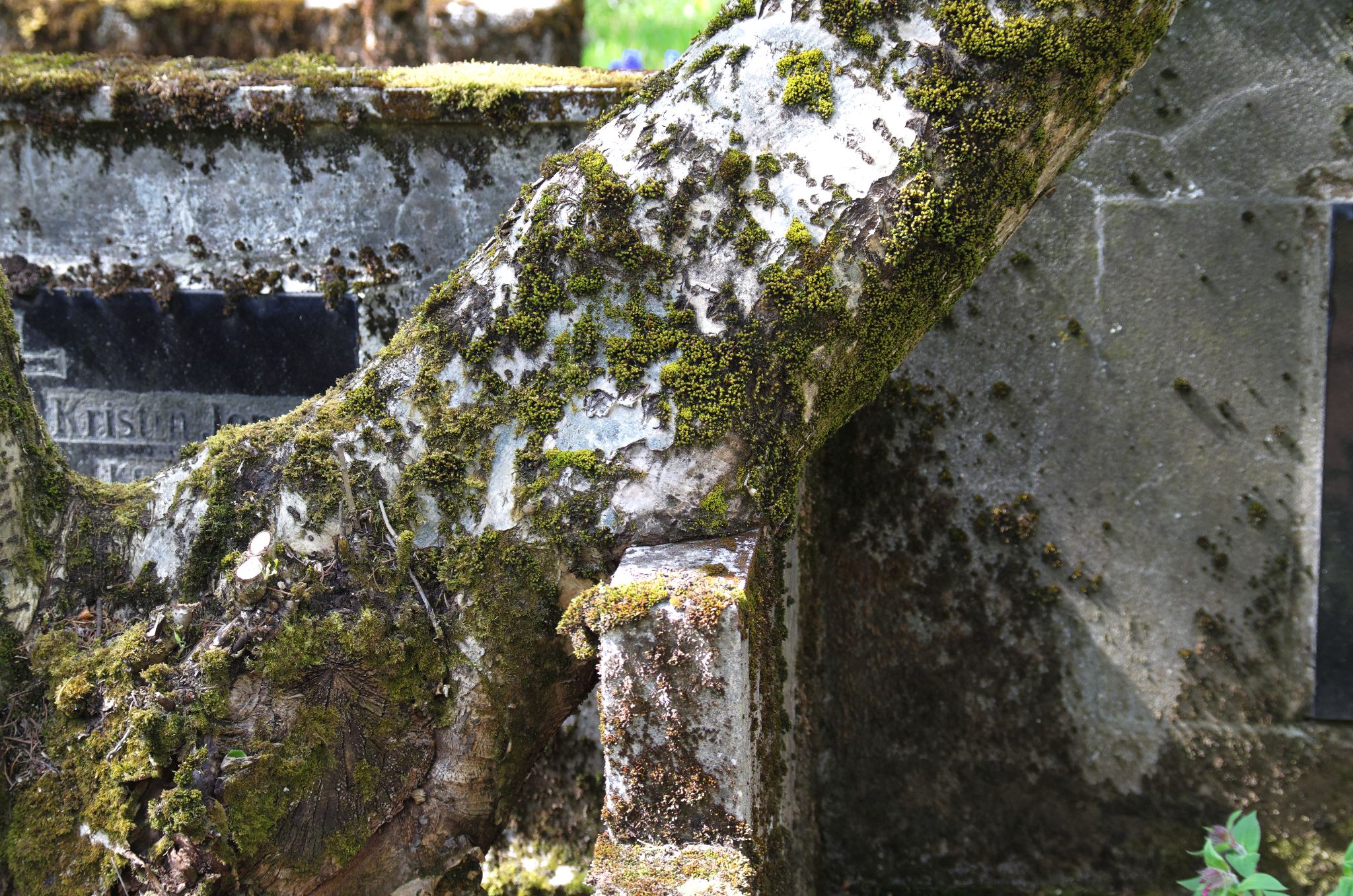 2011 06 09 14h32m11DSC 2490a