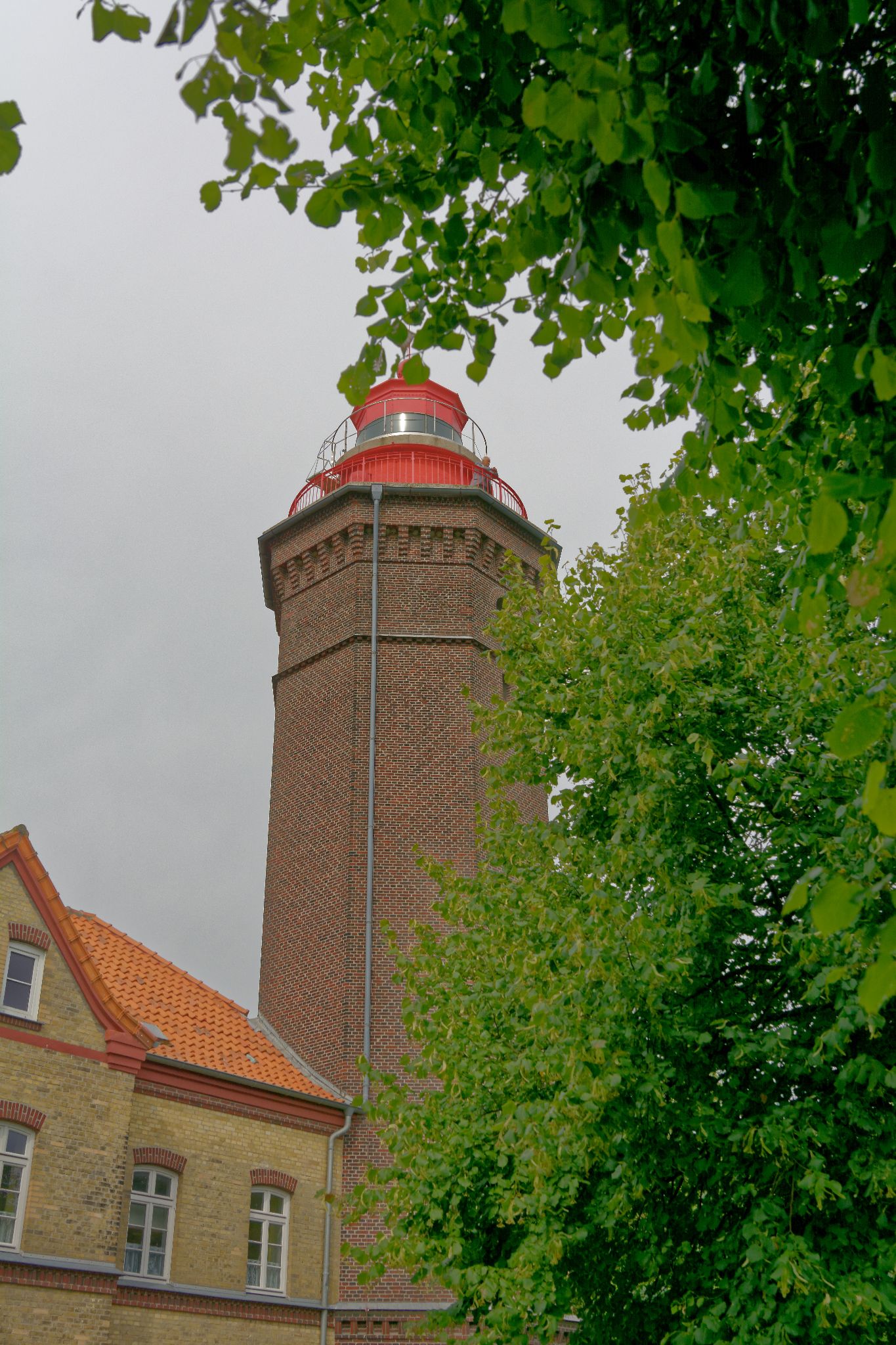 2017 08 18 11 01 56 JHU 8008a