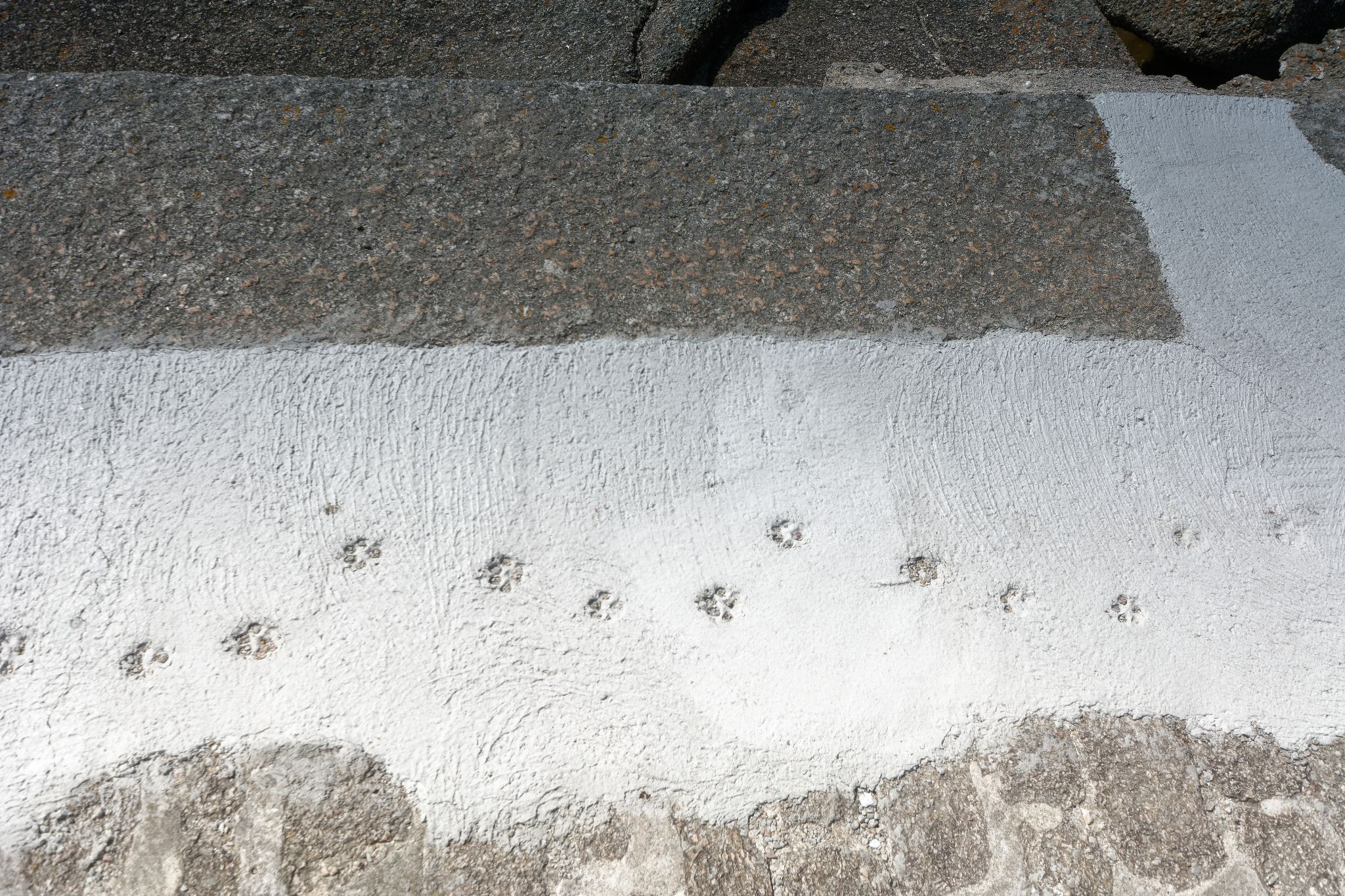 2019 06 27 16h38m35JHU 6792a